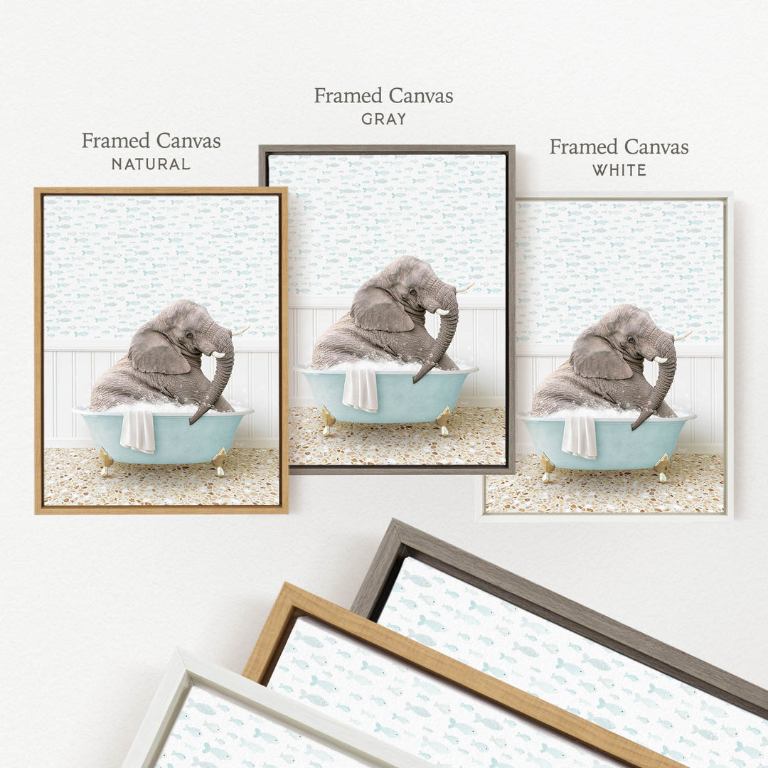 three framed pictures of an elephant sitting in a bathtub, each with a different color frame.