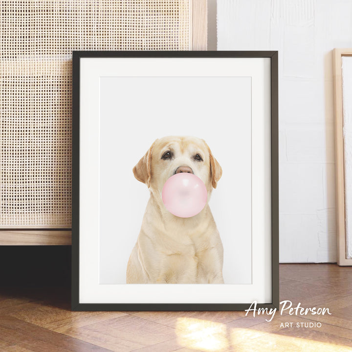 A framed photograph of a yellow Labrador retriever holding a pink bubble gum bubble in its mouth.