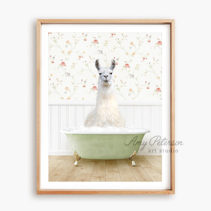 a picture of a llama in a bathtub