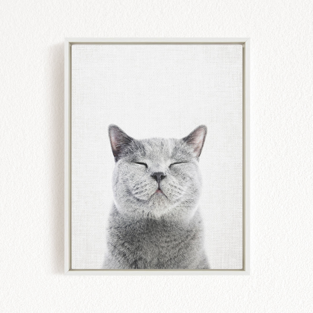 A gray cat with its eyes closed and mouth slightly open, appearing to be in a relaxed and content state.