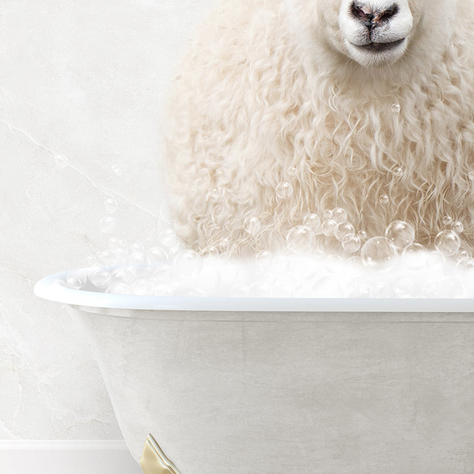 a sheep is sitting in a bathtub with bubbles