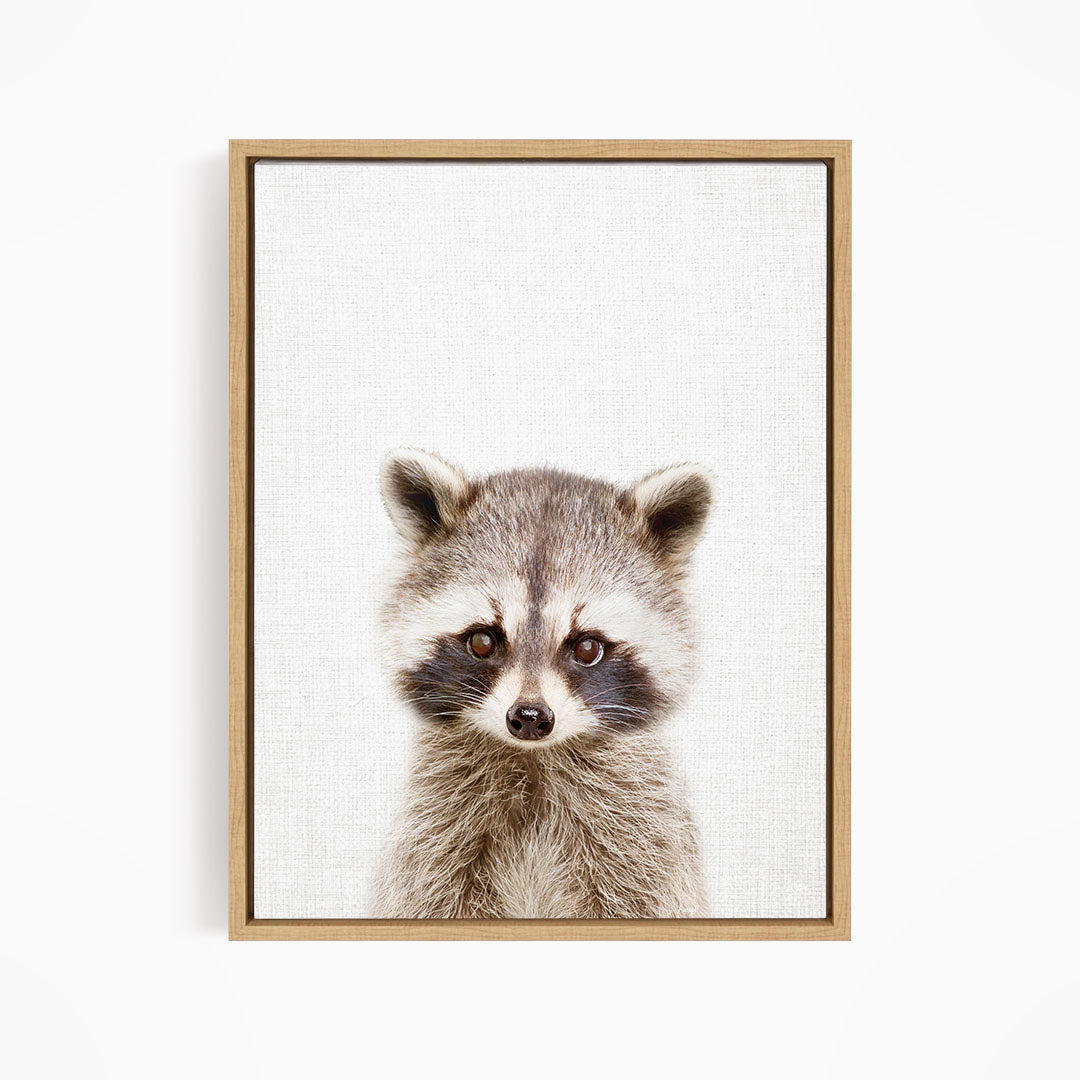 A raccoon with large eyes and a curious expression is the focus of the image.