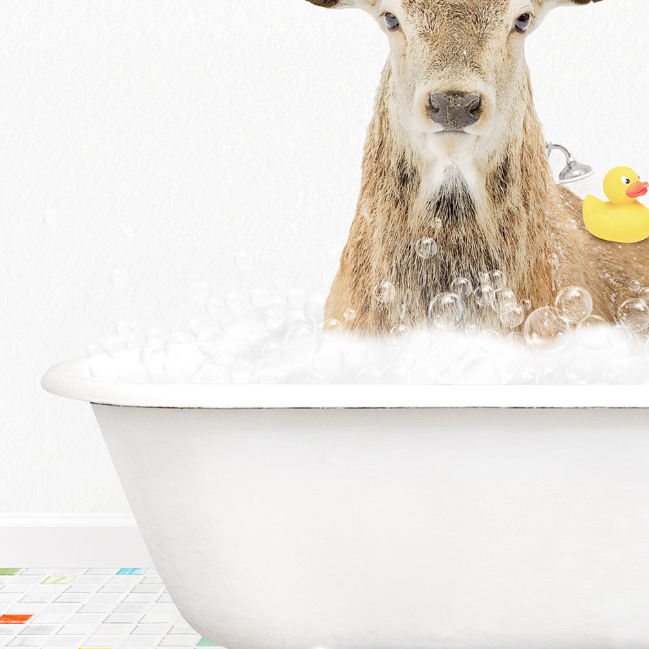 a deer in a bathtub with bubbles and a rubber duck