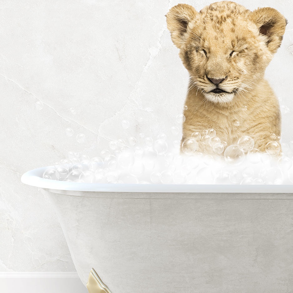 a lion cub sitting in a bathtub filled with bubbles