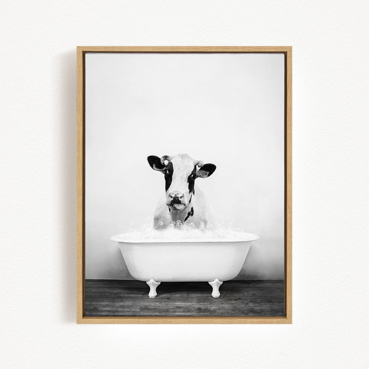 A black and white photograph of a cow sitting in a bathtub filled with water.