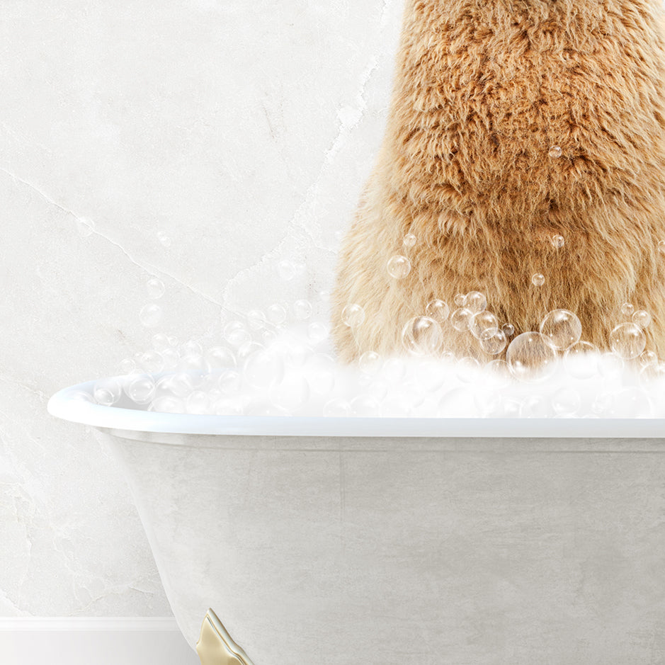 a brown bear sitting in a bathtub full of bubbles