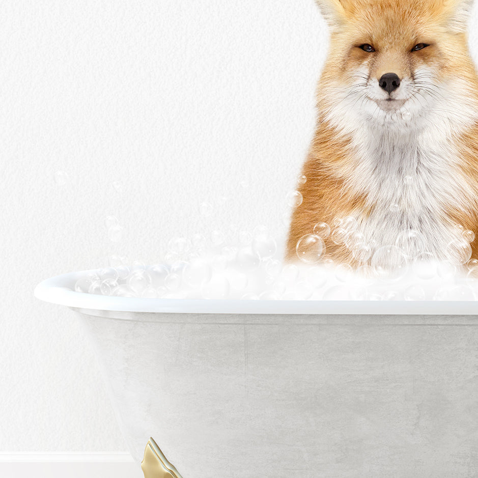 a fox is sitting in a bathtub full of bubbles