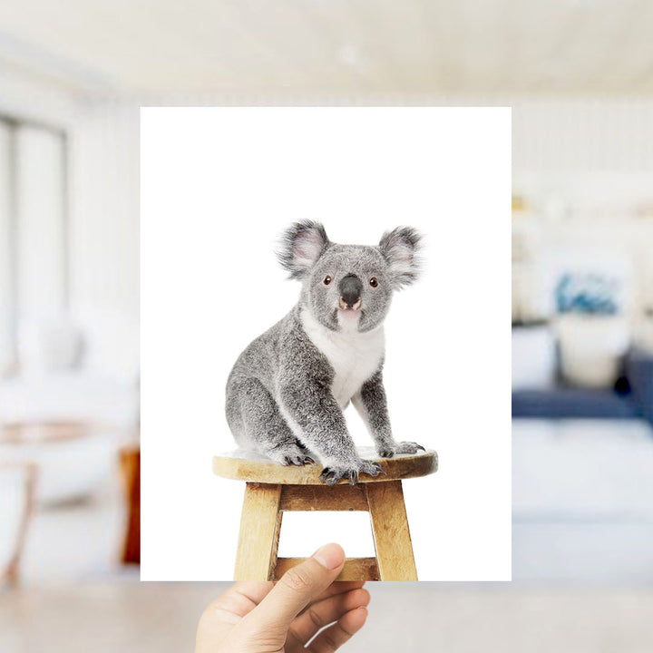 A koala sitting on a wooden stool is being held up against a white background.