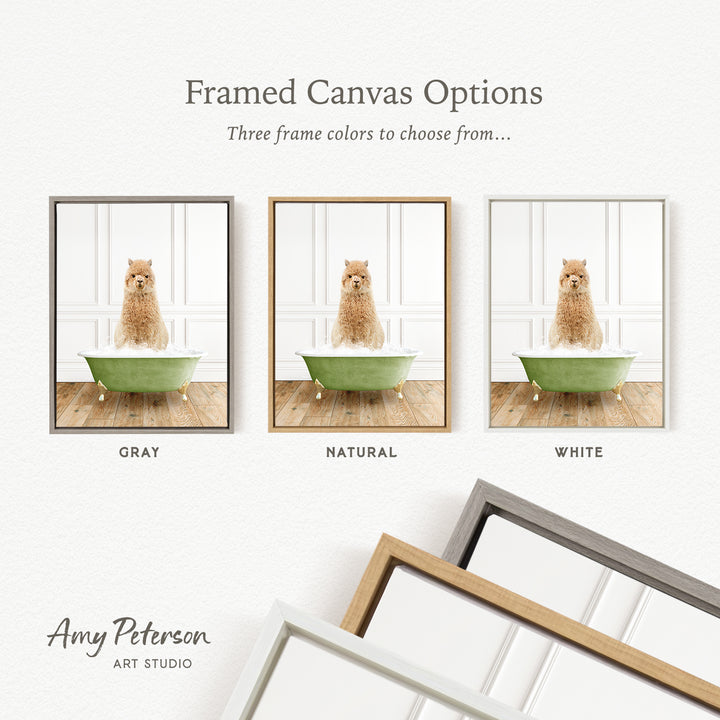 The image is a collage of three framed canvas options, each featuring a dog sitting in a bathtub. The options include a gray frame, a natural frame, and a white frame.