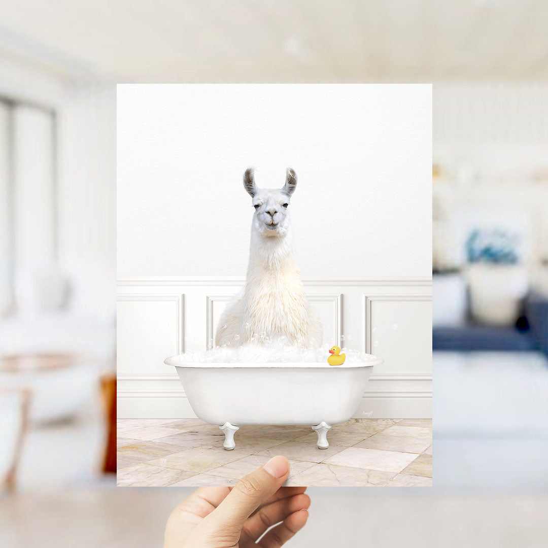 A white llama sitting in a white bathtub filled with bubbles, with a yellow rubber duck floating in the water.