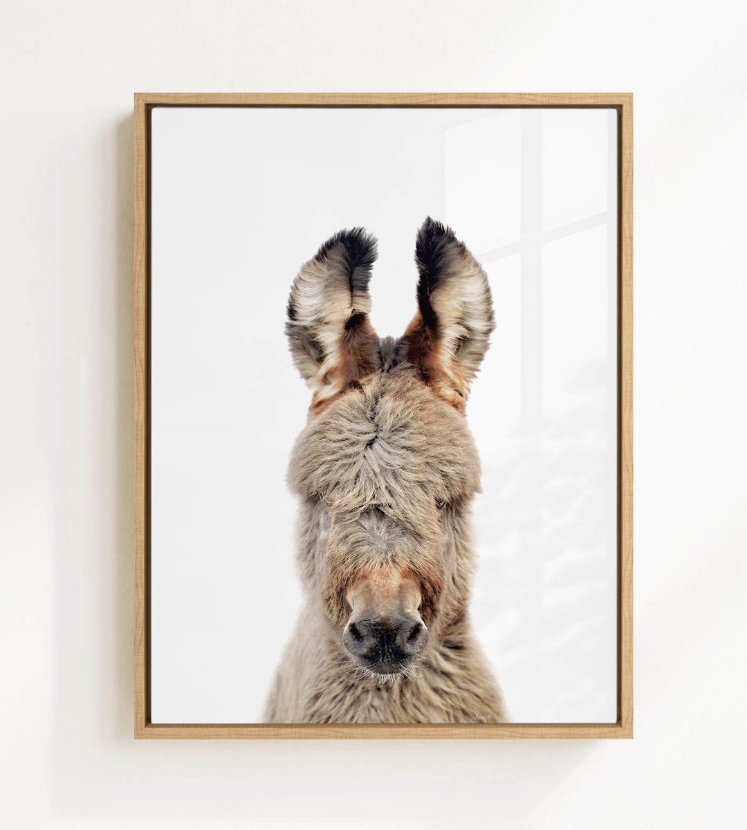 A close-up portrait of a donkey with its head turned to the camera, showing its large ears and a distinctive facial expression.