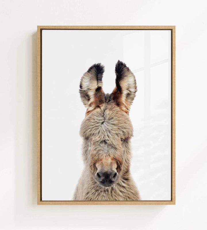 A close-up portrait of a donkey with its head turned to the camera, showing its large ears and a distinctive facial expression.