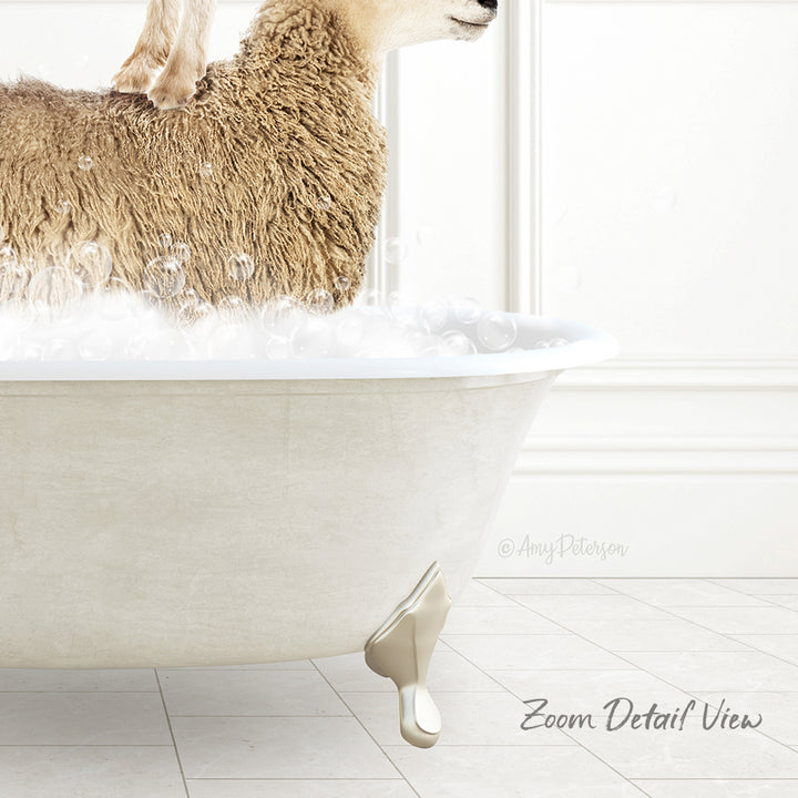 A sheep standing in a bathtub filled with water, with bubbles around it.