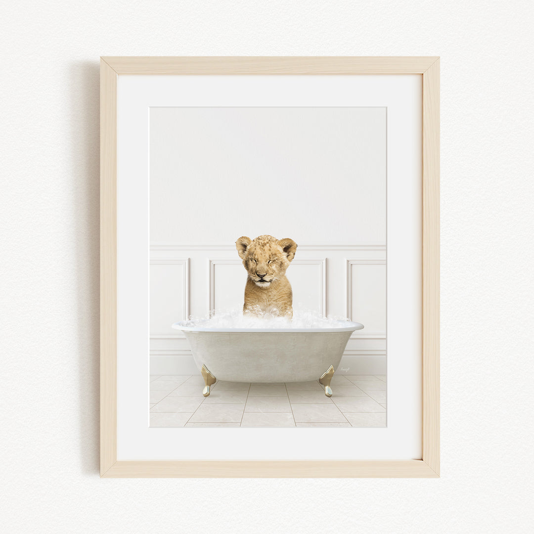 A young lion cub sitting in a white bathtub filled with water, looking directly at the camera.