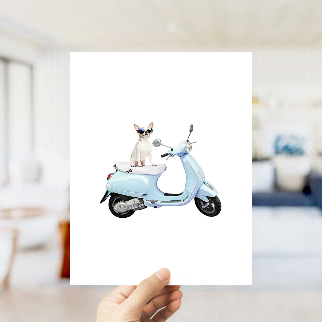 A small white dog wearing sunglasses is sitting on a light blue scooter.