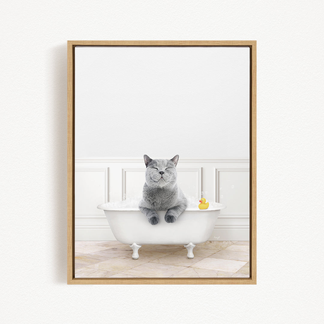 A gray cat sitting in a white bathtub, with a rubber duck floating in the water.