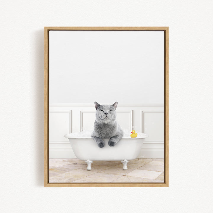 A gray cat sitting in a white bathtub, with a rubber duck floating in the water.