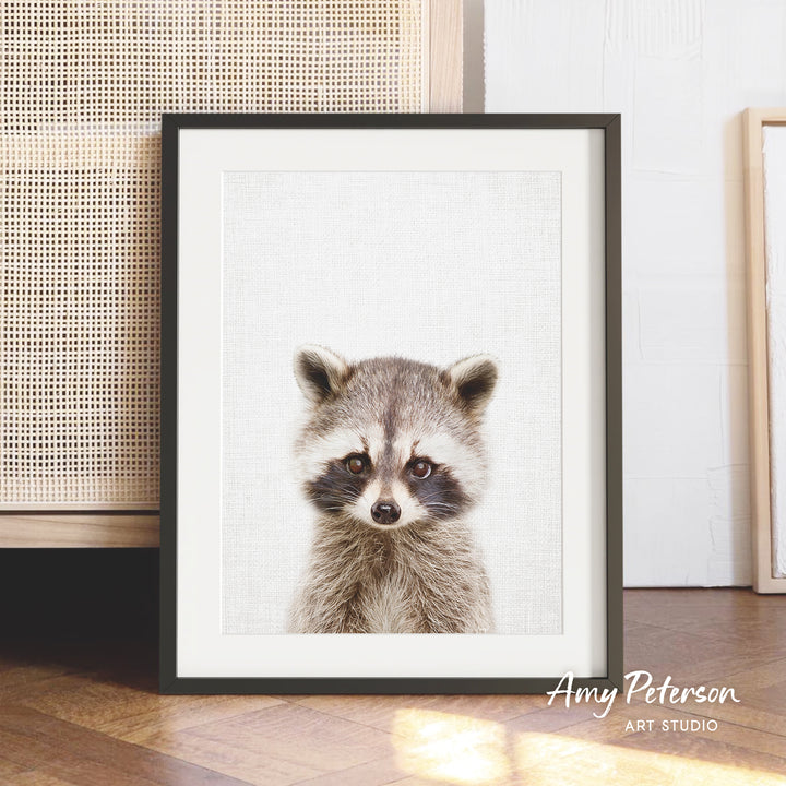 A framed print of a raccoon's face is displayed on a wooden floor, with a woven basket visible in the background.