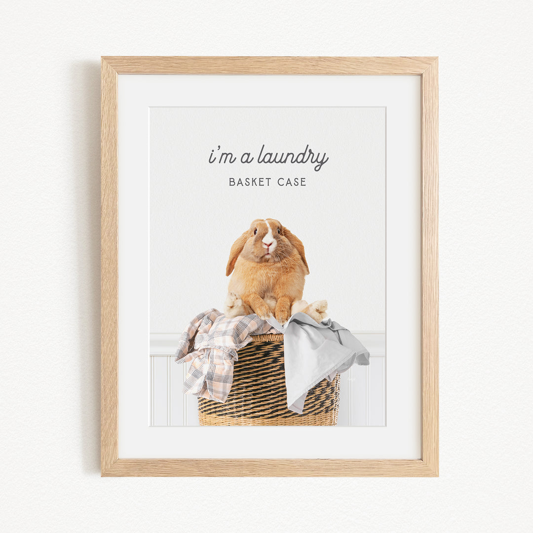 A framed image of a rabbit sitting in a basket filled with clothes, accompanied by the text "I'm a laundry Basket Case".