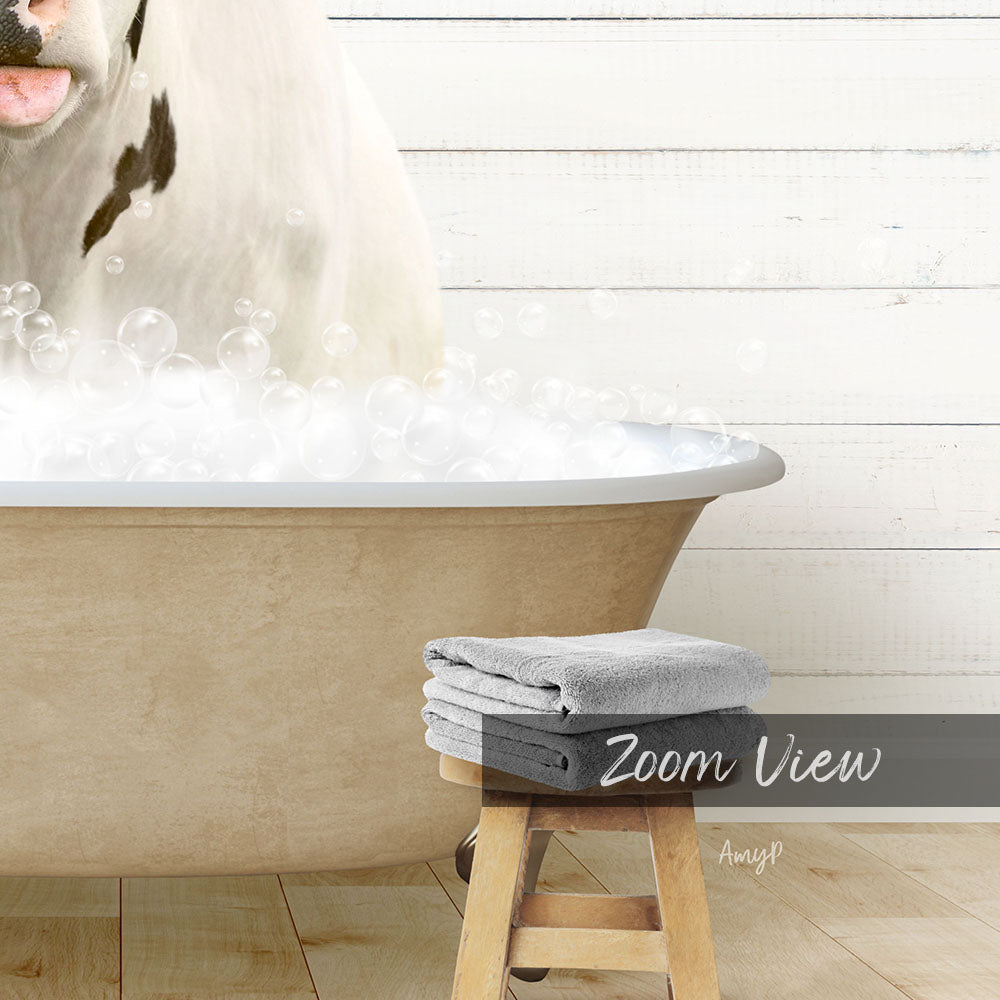 A white cow with black spots is sitting in a bathtub filled with bubbles, with a towel and stool in the foreground.