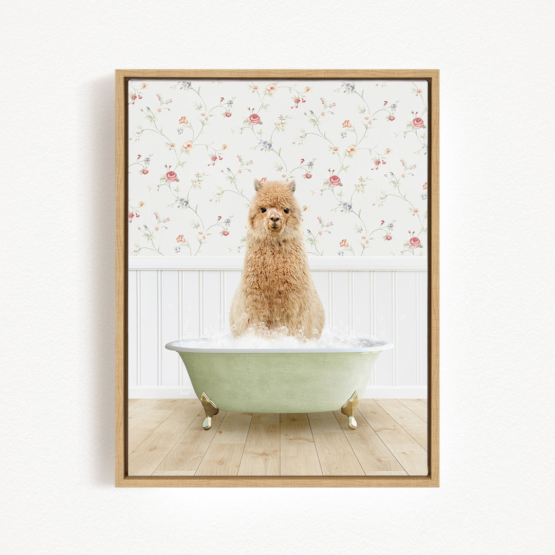 A fluffy brown dog sitting in a green bathtub filled with bubbles, with a floral wallpaper in the background.