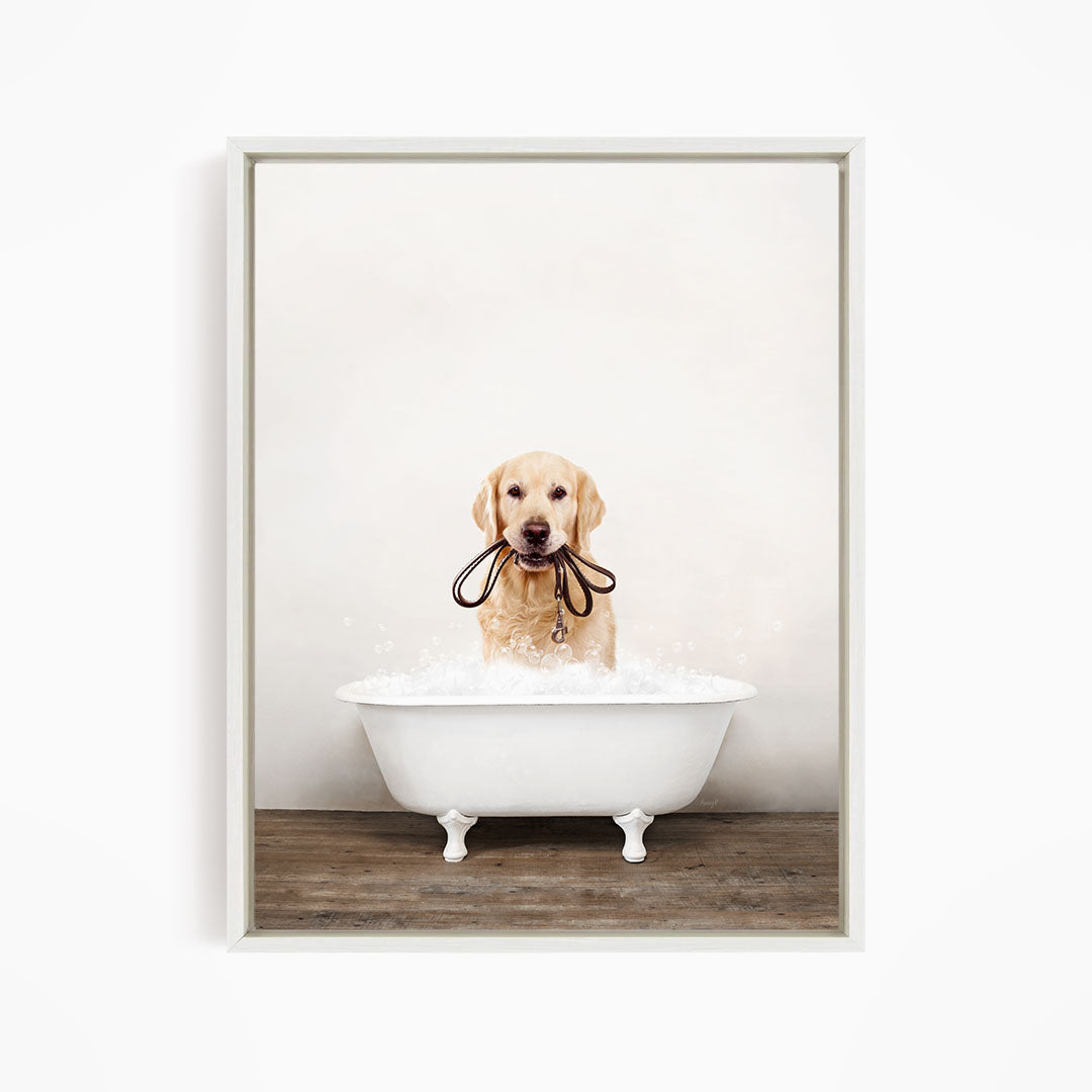 A golden retriever dog sitting in a white bathtub, holding a leash in its mouth.