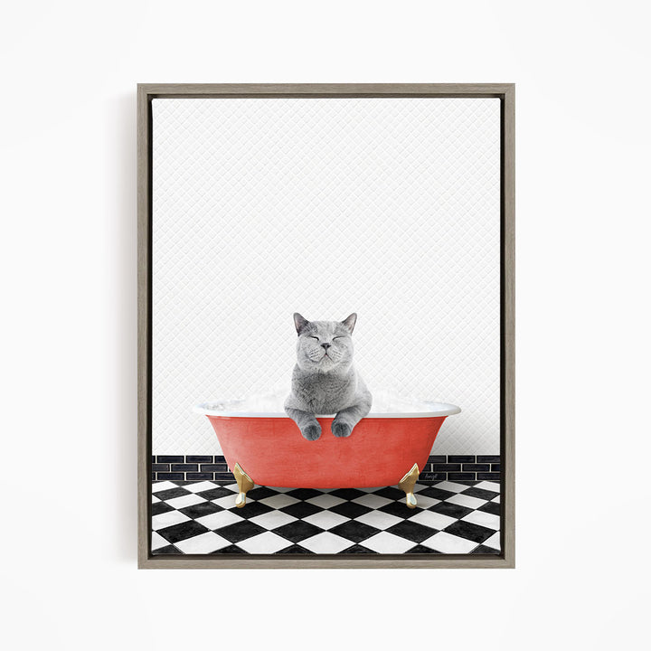 A gray cat sitting in a red bathtub filled with bubbles, with a black and white checkered floor in the background.