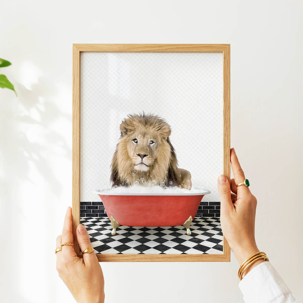 A person's hands are holding a framed picture of a lion sitting in a red bathtub filled with water, creating a whimsical and playful scene.