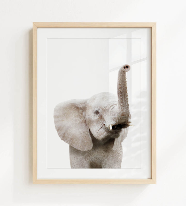 A framed photograph of a young elephant with its trunk raised, looking directly at the camera.