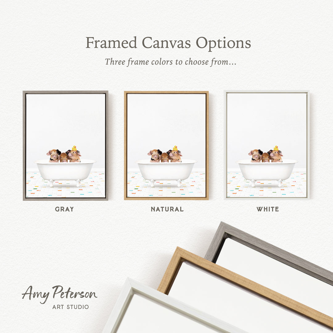 three framed canvas options, each with a different color: gray, natural, and white. The text above the images reads " framed Canvas Options" and "Three frame colors to choose from...". The bottom of the image features the text " Amy Peterson ART STUDIO".