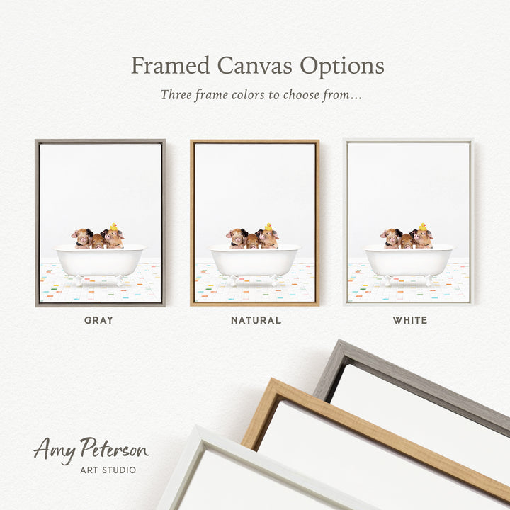 three framed canvas options, each with a different color: gray, natural, and white. The text above the images reads " framed Canvas Options" and "Three frame colors to choose from...". The bottom of the image features the text " Amy Peterson ART STUDIO".