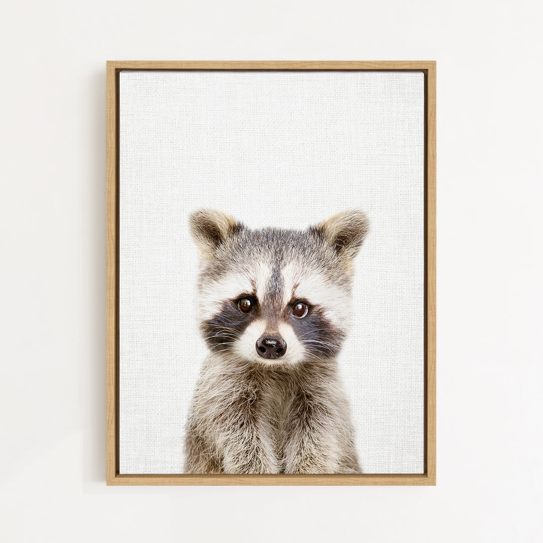A raccoon with a curious expression is the focus of the framed print displayed on the wall.