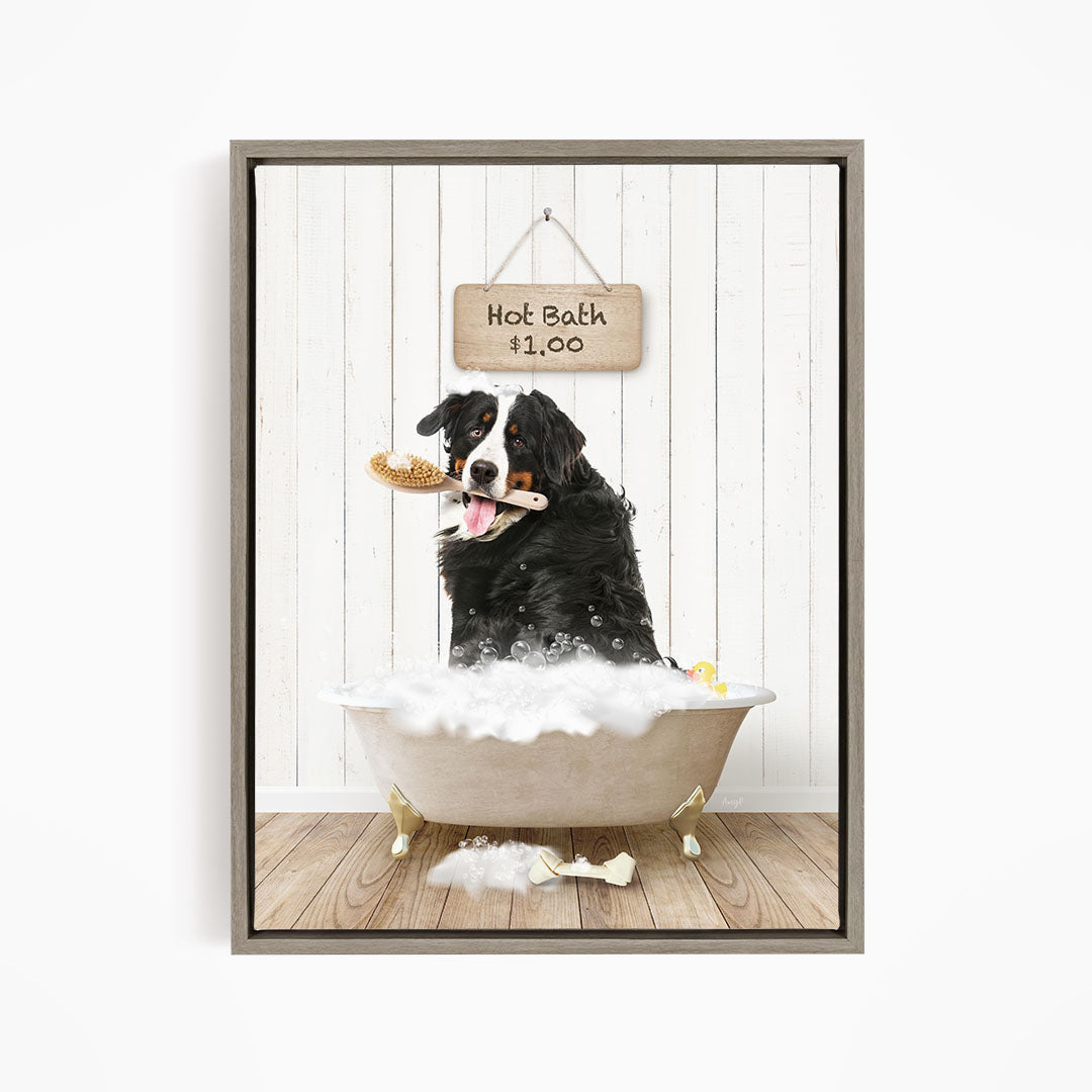 A black and white dog sitting in a white bathtub, holding a brush in its mouth, with a sign above the bathtub that says "Hot Bath $1.00".