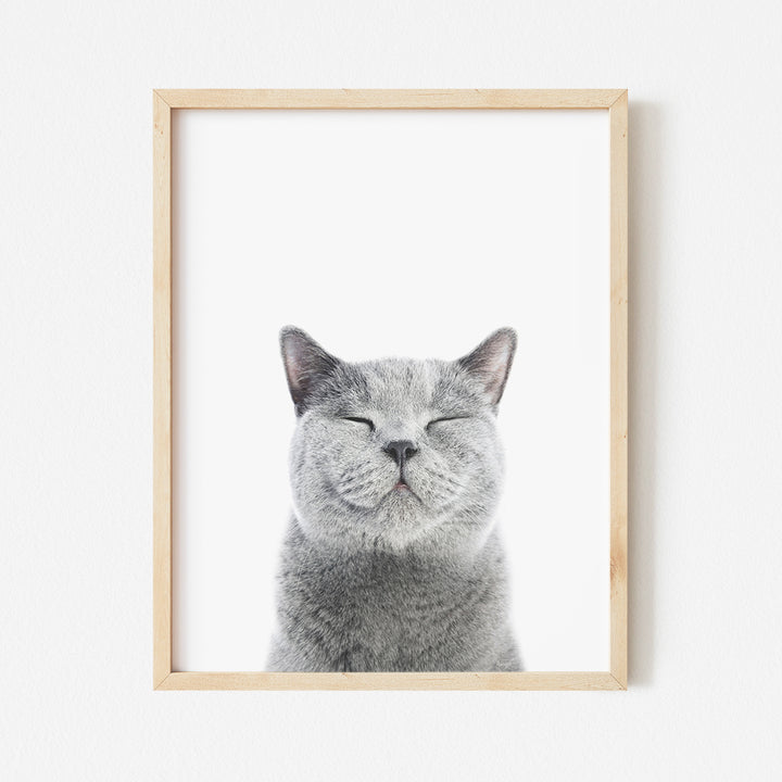 a gray cat with its eyes closed in a wooden frame