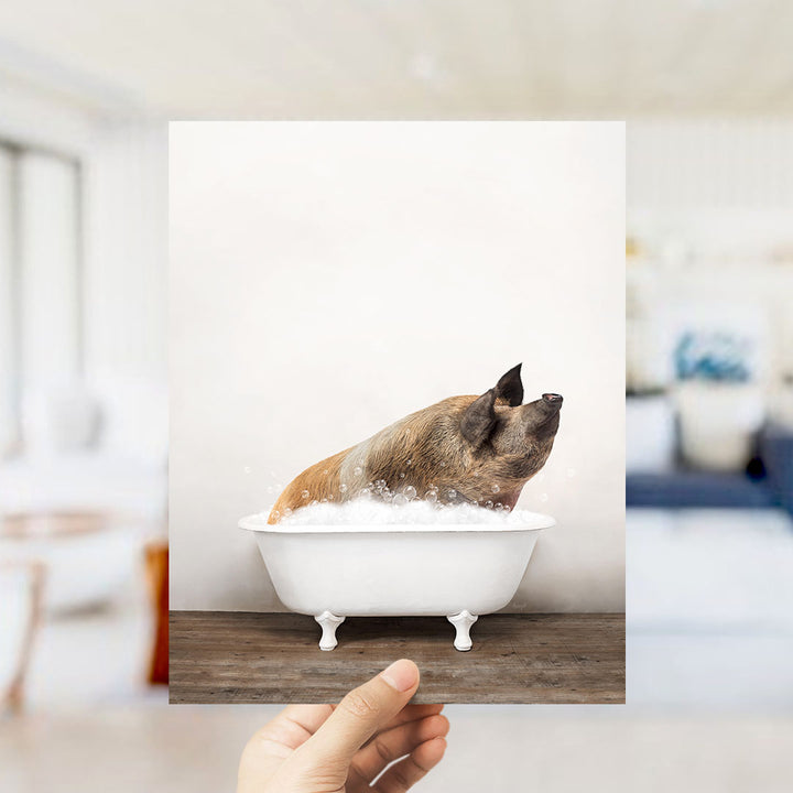 A hand holds up a framed photograph of a pig sitting in a bathtub filled with water, looking up at the camera.