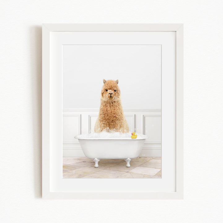 A fluffy brown alpaca sitting in a white bathtub filled with bubbles, with a yellow rubber duck floating in the water.