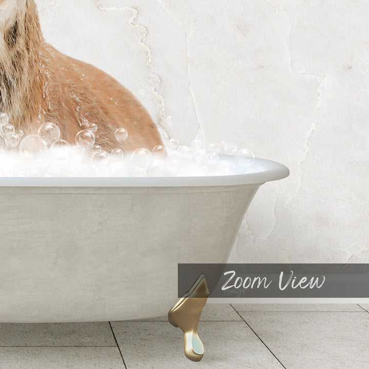 A cat sitting in a bathtub filled with bubbles, with a text overlay that reads "Zoom View".