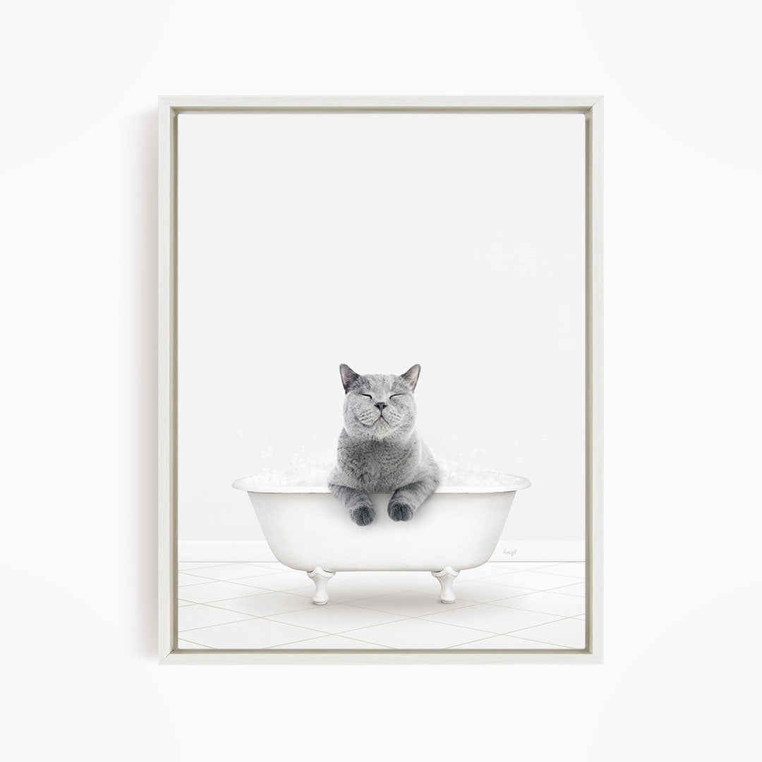 A gray cat sitting in a white bathtub, with its eyes closed and appearing relaxed.