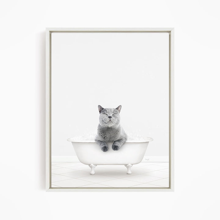 A gray cat sitting in a white bathtub, with its eyes closed and appearing relaxed.