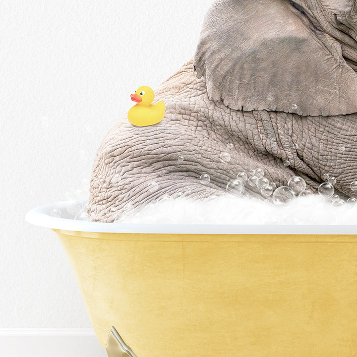 an elephant in a bathtub with a rubber ducky toy