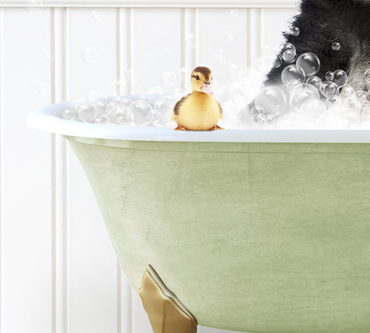 a dog in a bathtub with bubbles and a rubber duck