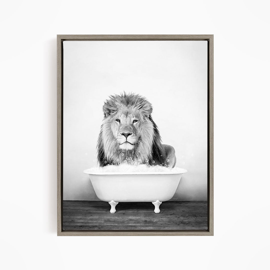 A lion sitting in a bathtub filled with water, appearing to be enjoying the bath.
