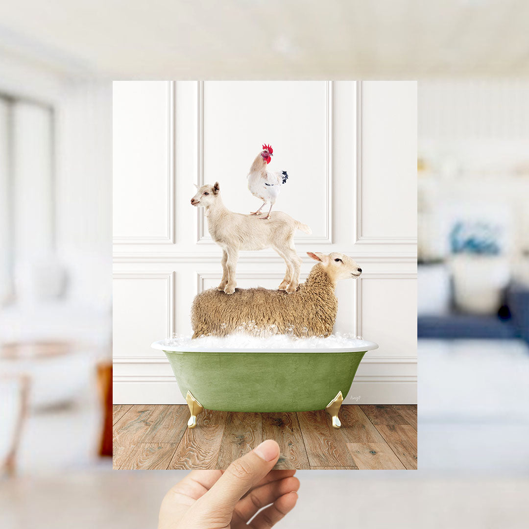 A hand holds up a framed image depicting a goat standing on a sheep's back in a bathtub, with a rooster perched on top.