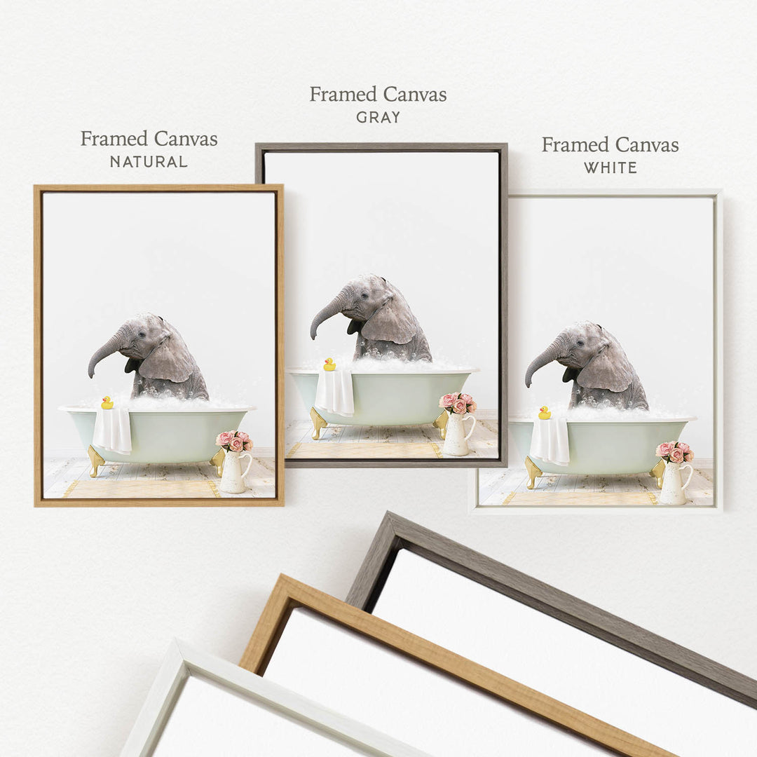 three framed pictures of an elephant in a bathtub, each with a different colored frame. The first frame is natural, the second is gray, and the third is white.