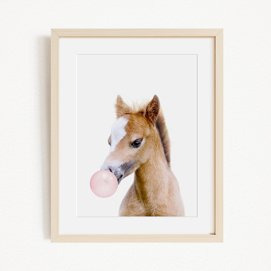 A framed photograph of a young horse blowing a bubble with a pink bubble gum bubble.