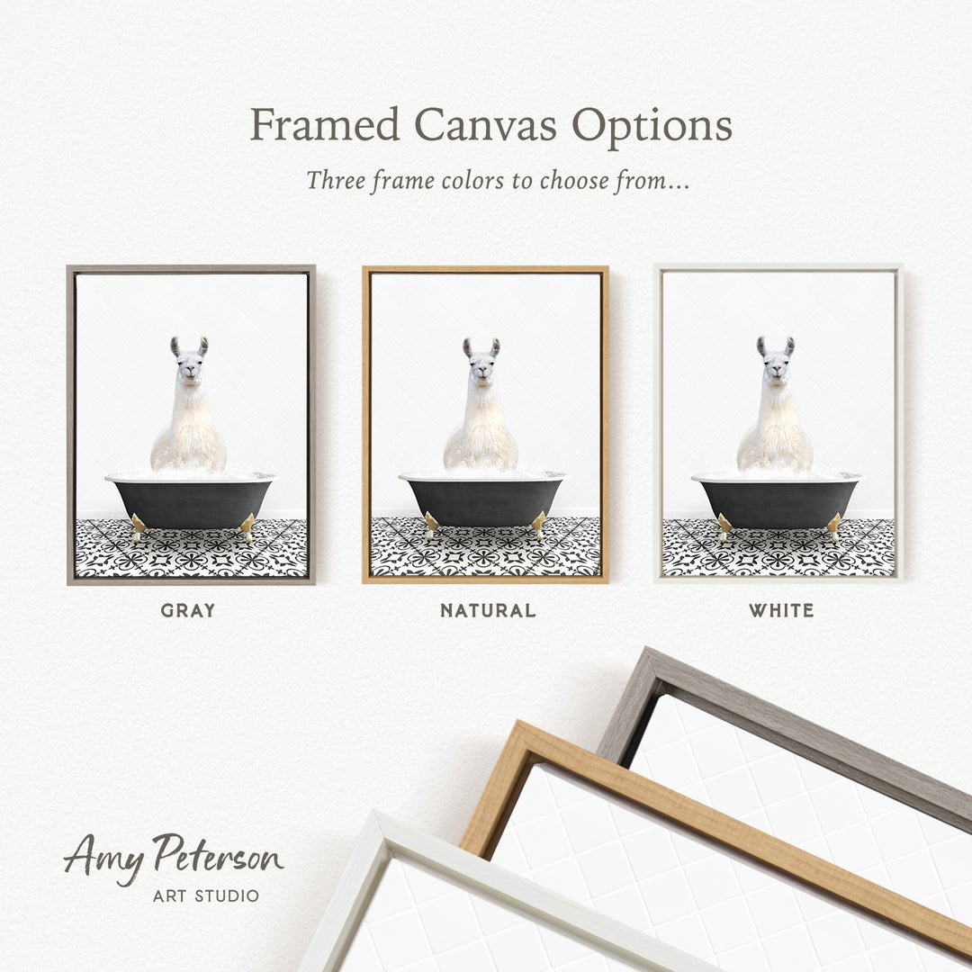 The image is a framed canvas option featuring three different colored frames, each containing a white llama in a bathtub. The frames are labeled with the color options: gray, natural, and white.