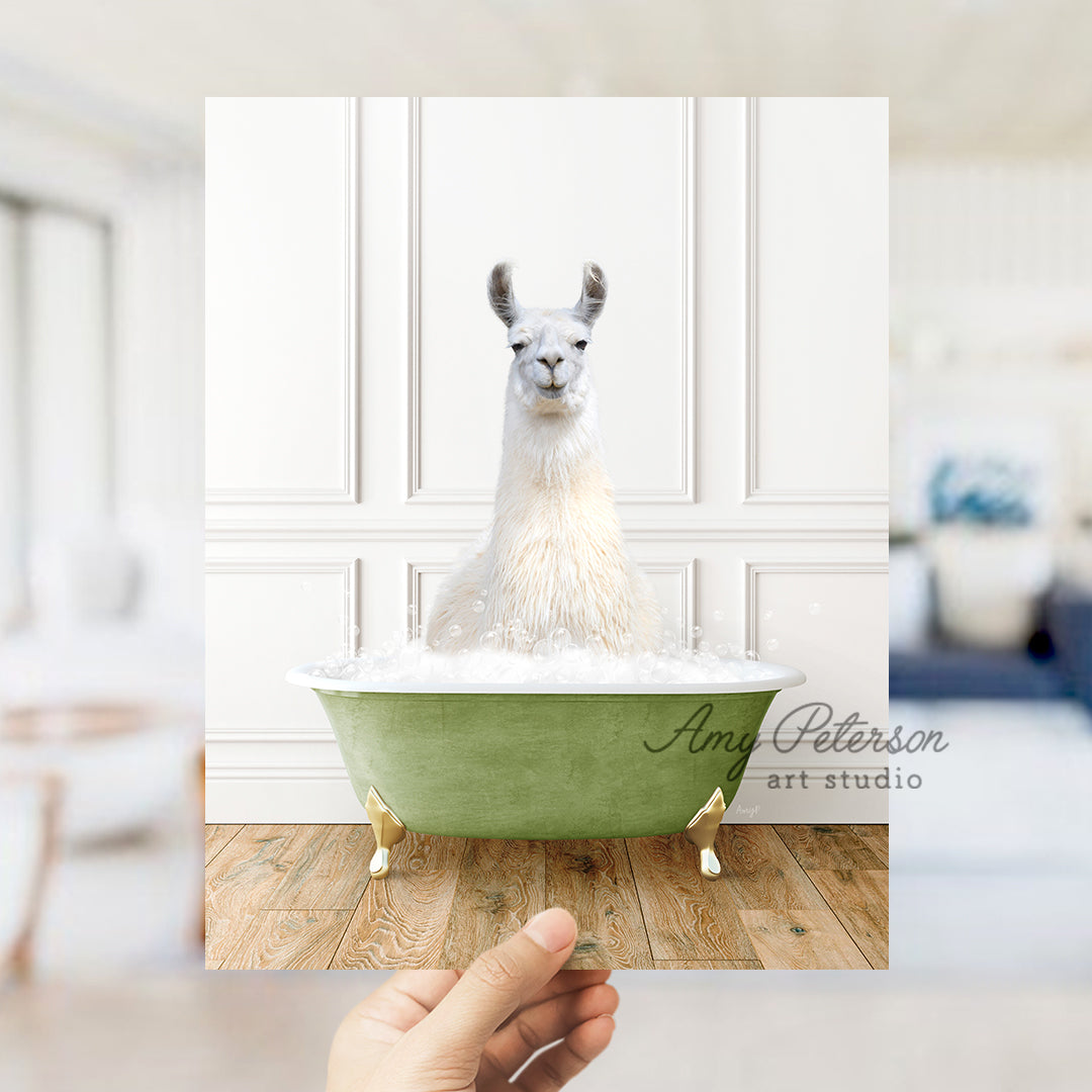 a llama sitting in a bathtub with foam on it