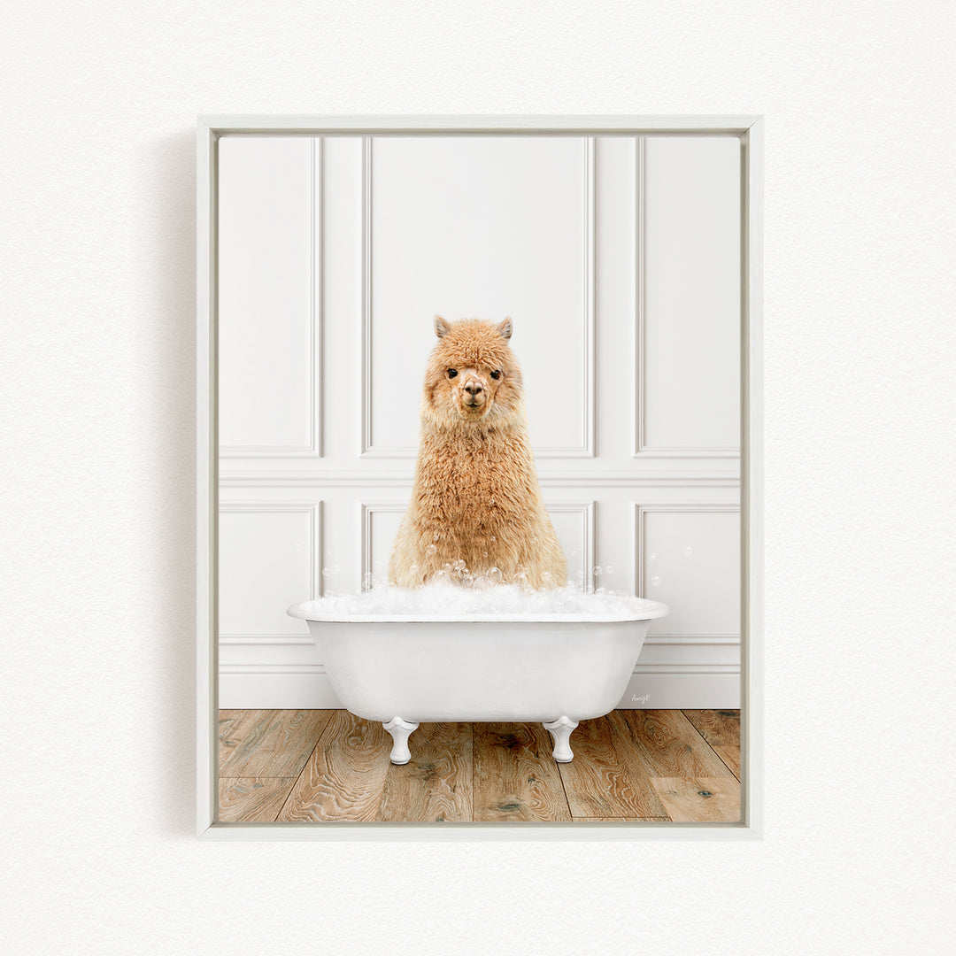 A fluffy alpaca sits in a white bathtub filled with bubbles, looking directly at the camera.