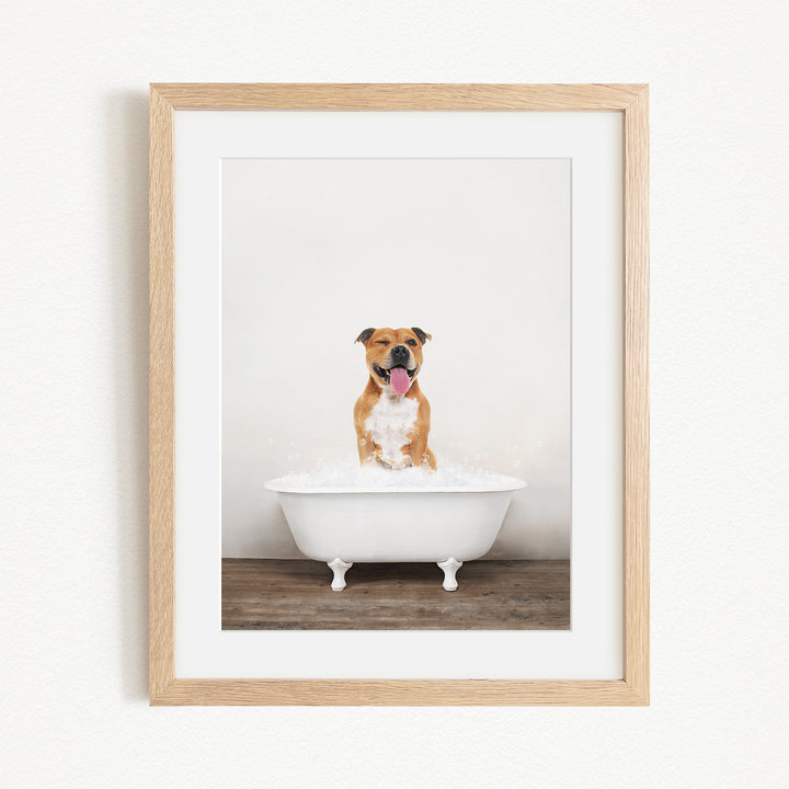 A brown and white dog standing in a white bathtub filled with bubbles, with its tongue hanging out, creating a playful and adorable scene.