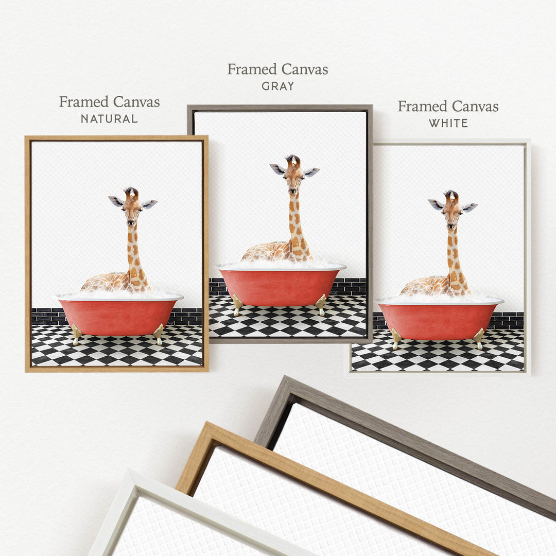 a giraffe sitting in a red bathtub, with three framed versions of the image displayed side by side.